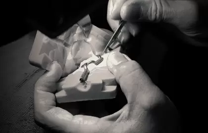 Sự rực rỡ táo bạo của Crystal Link